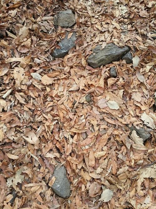 Компост в черном мешке. Все о компосте в мешках 07