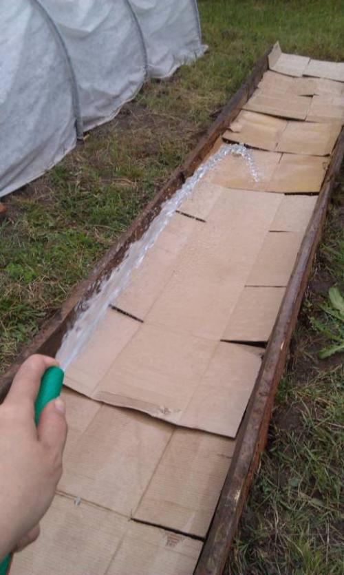 Как освоить целину без перекопки. Разработка целины без перекопки 04