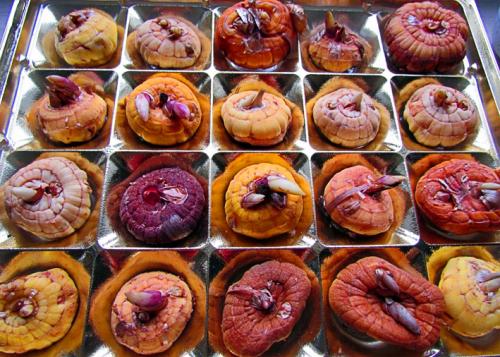 Переопыляются или нет гладиолусы. 03