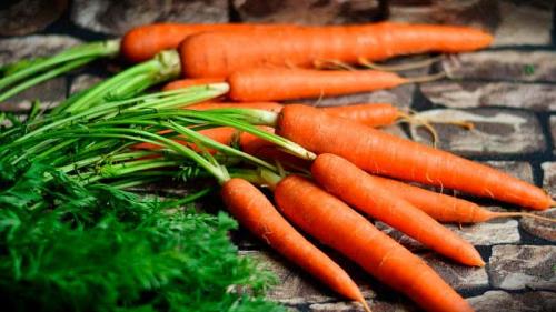 как вырастить сладкую морковь. что делать, если морковь не сладкая и не сочная и почему так происходит