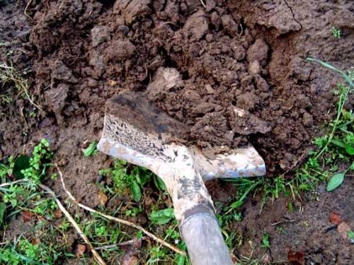 Подготовка земли на даче к зиме. Подготовка почвы к зиме 01