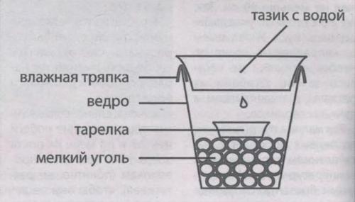 Как уберечь саженцы от грызунов. Чем укрыть деревья 14