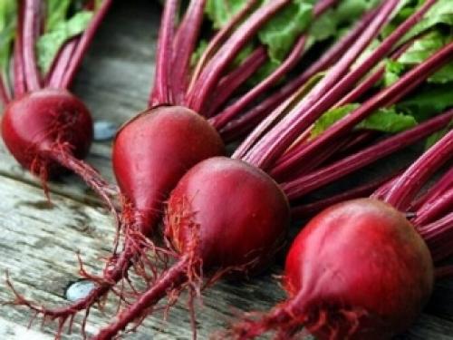 Чем поливать свеклу, чтобы была сладкая? 12