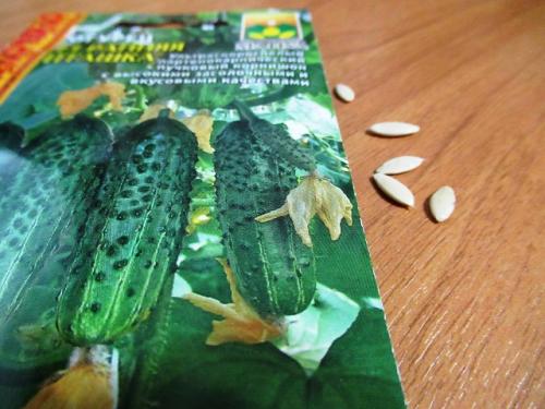 Замачивание семян огурцов. Огурцы замачивание семян перед посадкой