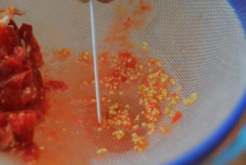 Как заготовить семена помидоров для рассады. Требования к плодам для отбора семян 05