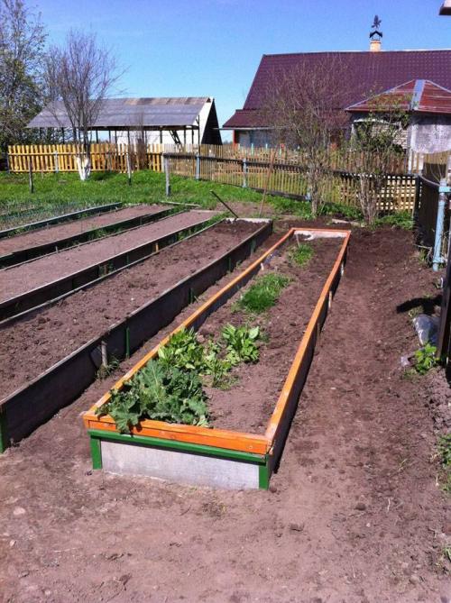 Грядки своими руками не, как у всех интересные идеи. Как создать грядки своими руками не, как у всех: интересные идеи готовых вариантов