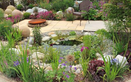 Боится ли заморозков морковь осенью. Овощи и осенние заморозки 05