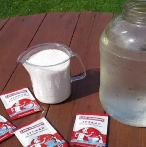 Чем подкормить капусту, чтобы завязались головки. Нужна ли подкормка капусты для завязывания кочанов