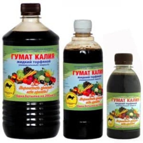 Чем подкормить капусту, чтобы завязались головки. Нужна ли подкормка капусты для завязывания кочанов