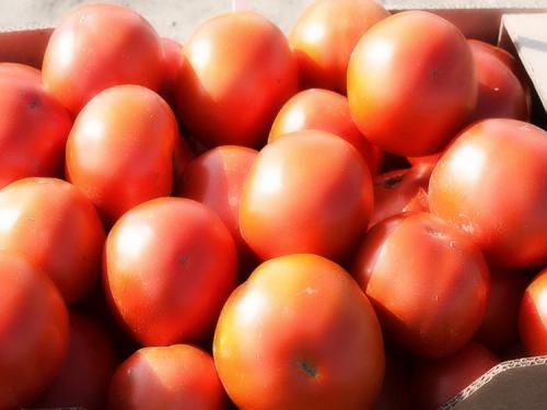 Все о помидорах выращивание от а до я. Как выращивать томаты в открытом грунте