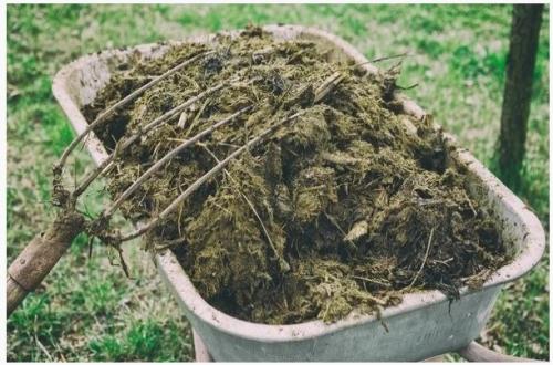 Чем полить грядки после сбора урожая. Мои обязательные процедуры после уборки урожая картофеля