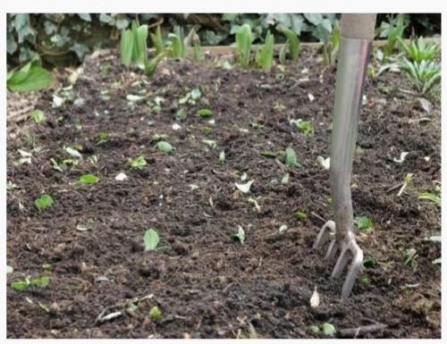 Чем полить грядки после сбора урожая. Мои обязательные процедуры после уборки урожая картофеля