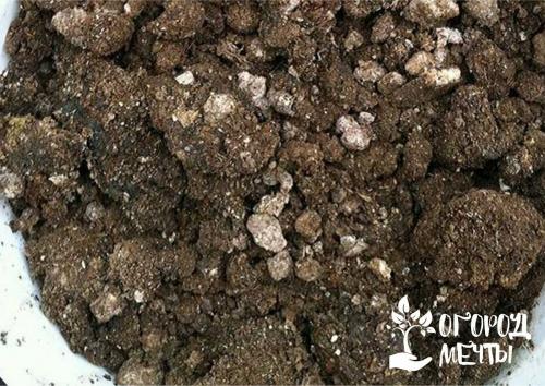 Подкормка клубники пеплом. Органические удобрения