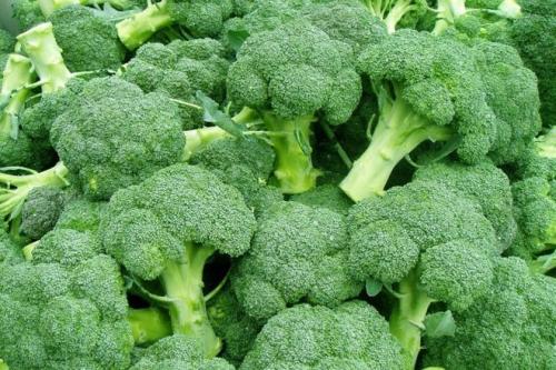 Почему не завязывается капуста брокколи. Брокколи не завязывается: что делать
