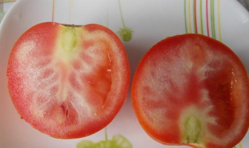 Почему в помидорах белая сердцевина. Причины появления белой середины томатов 03