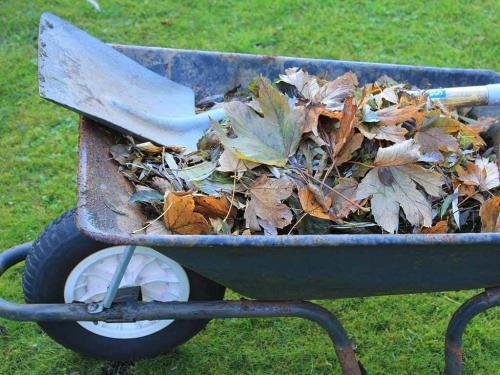 Как ускорить перегнивание навоза. Какие листья нельзя класть в компост и как ускорить перегнивание