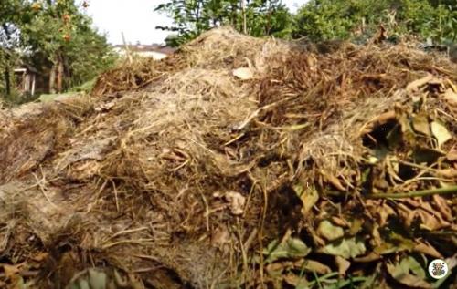 Мочевина в компост. Приветствую вас на моём канале, уважаемые читатели!