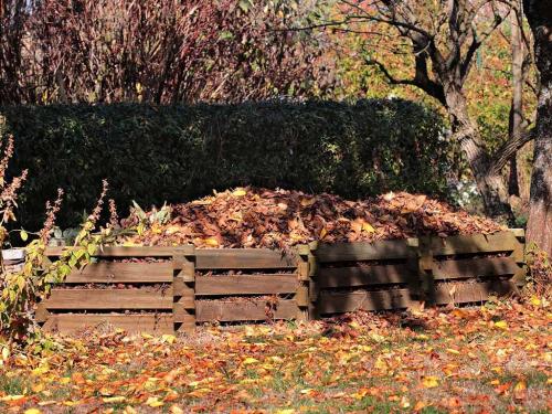 Как ускорить перегнивание навоза. Какие листья нельзя класть в компост и как ускорить перегнивание