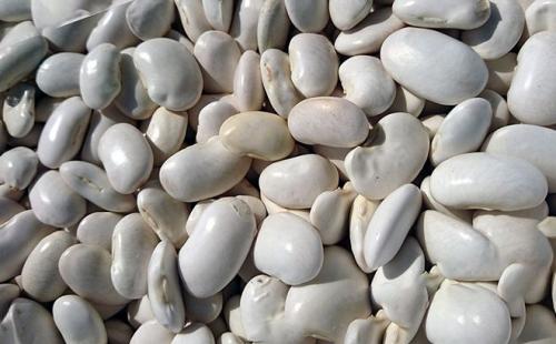 Можно ли фасоль при грудном вскармливании. Фасоль при грудном вскармливании