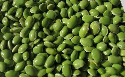 Можно ли фасоль при грудном вскармливании. Фасоль при грудном вскармливании