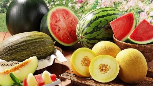 Лучшие предшественники тыквы. Что сажать после тыквы на следующий год: правила севооборота и полезные рекомендации по составлению грядок