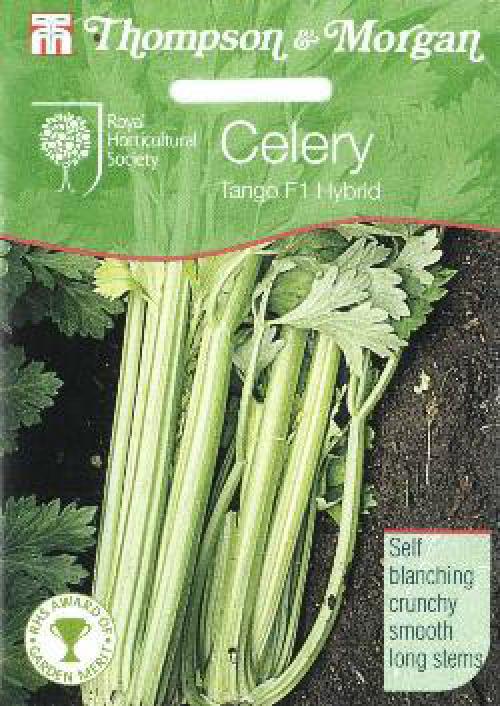 Когда окучивать черешковый сельдерей. Отбеливание сельдерея черешкового 11