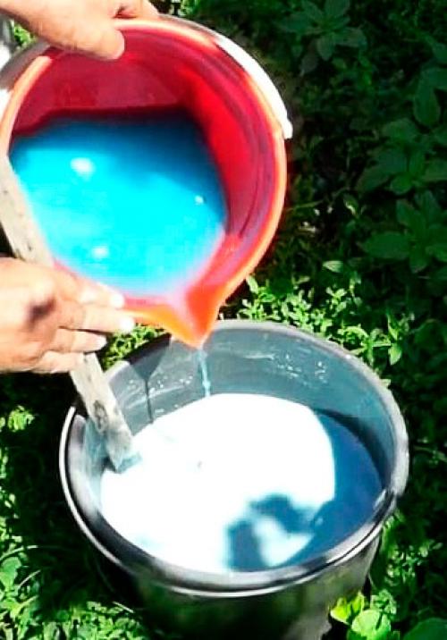 Обработка клубники весной бордоской жидкостью. Бордосская жидкость, применение в садоводстве весной и осенью