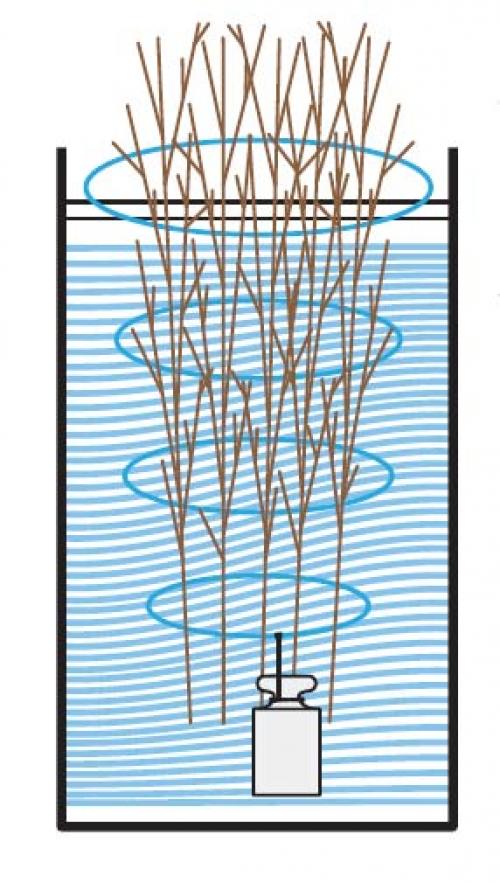 Можно ли прикопать саженцы в теплице. Прикопка саженцев на зиму в теплице