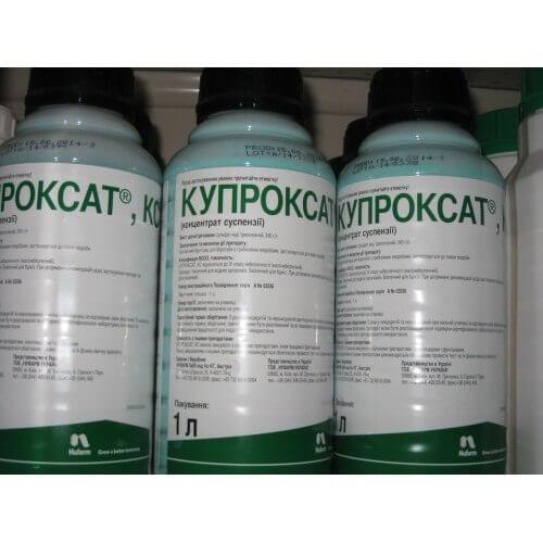 Обработка клубники весной бордоской жидкостью. Бордосская жидкость, применение в садоводстве весной и осенью