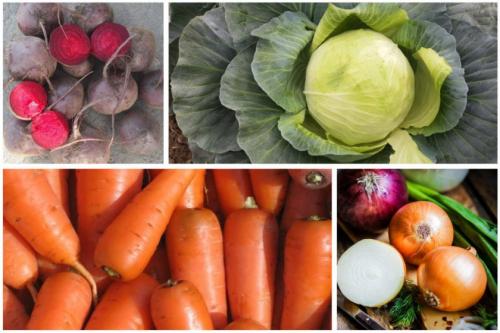 Морковь выдерживает заморозки до. Овощи и осенние заморозки 01