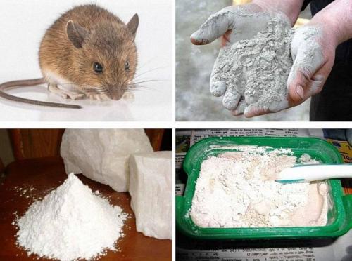 Как избавиться от крыс народными средствами. Физические способы