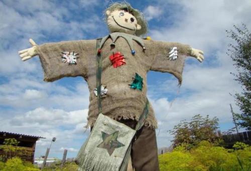 Как сохранить подсолнухи от птиц. Как уберечь урожай подсолнуха от птиц 05