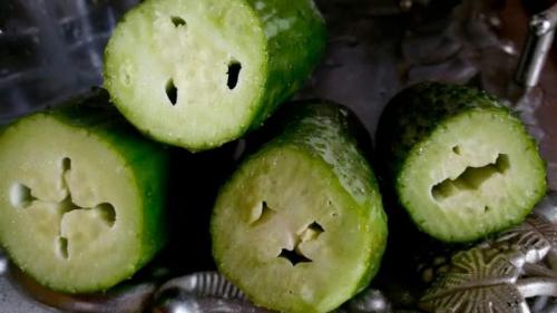 Почему огурцы пустые внутри и как избавиться от этого. Почему огурцы пустые внутри и как предотвратить эту проблему