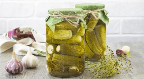 Если огурцы горькие, что делать. Как убрать горечь из огурцов и почему она вообще появляется 05