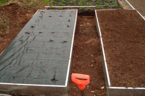 Как подготовить грядку под клубнику. Готовим грядки под клубнику. Грядки для клубники своими руками: интересные идеи