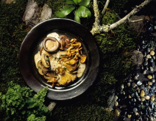 Рыжики в кляре. Рецепты жареных рыжиков