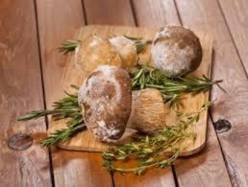 Как правильно готовить подосиновики и подберезовики. Как правильно варить грибы подосиновики и подберезовики? 04