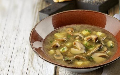 Гриб дубовик приготовление. Приготовление дубовика