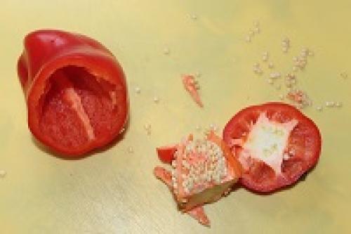 Перец фаршированный фаршем без риса калорийность. Перец фаршированный мясом и рисом с расчетом калорийности на 100 грамм