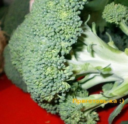 Как понять, что брокколи созрела. Как выбрать брокколи: секреты ценителя