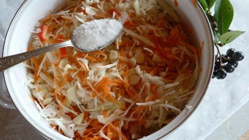 Почему капуста острая. Почему квашеная капуста горчит