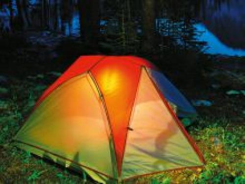 Как варить подосиновики, чтобы не чернели. Что делать, чтобы не темнели подосиновики