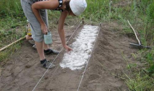 Осенняя подготовка грядки под морковь. Подготовка грядки для лука