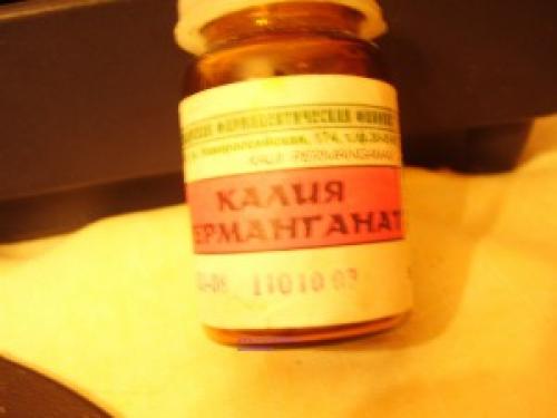 Как бороться с тлей народными средствами. Лучшие из практики «НАРОДНЫЕ СРЕДСТВА» избавиться ОТ ТЛИ 04