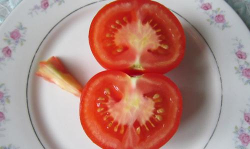 В помидоре белые прожилки. Почему у плодов томатов образуются белые прожилки внутри 03
