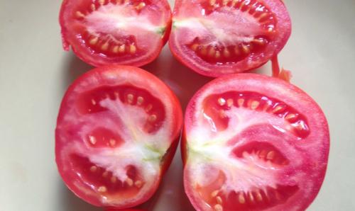 В помидоре белые прожилки. Почему у плодов томатов образуются белые прожилки внутри 02