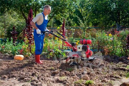 Когда пахать огород осенью. А нужно ли копать огород? 03