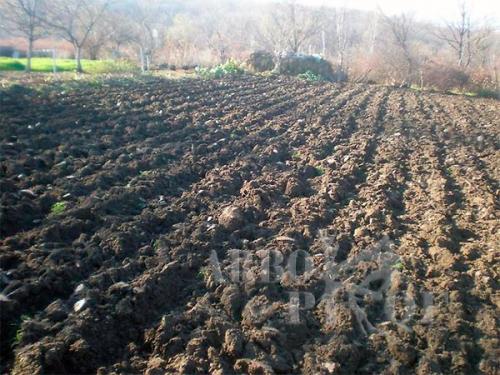 Когда пахать огород осенью. А нужно ли копать огород? 04