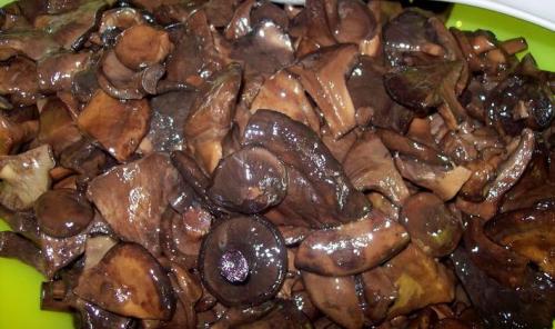 Как солить свинушки горячим способом в банках с предварительным вымачиванием