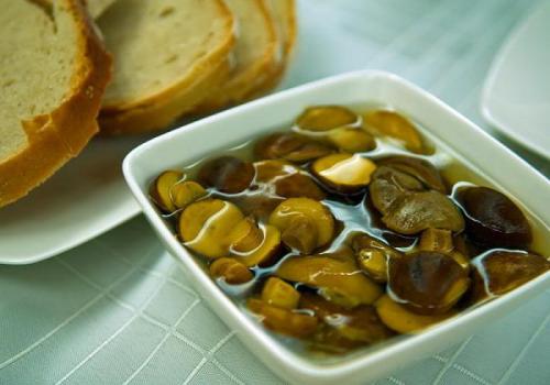 Как выглядит гриб козленок. Противопоказания 05